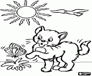 Kitten playing with a butterfly coloring page