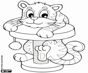 The kitten and the scratcher coloring page