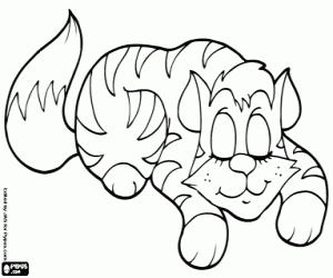 The kitten is sleeping peaceful coloring page