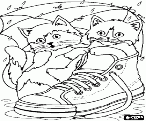 The kittens with a sports shoe coloring page