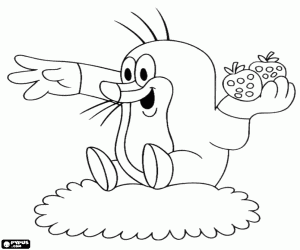Krtek mole with strawberries in hand coloring page