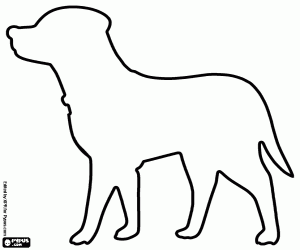 Labrador dog with collar, silhouette coloring page
