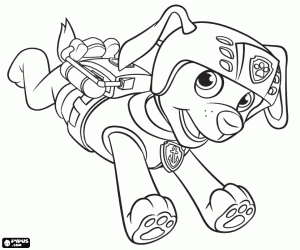 The labrador dog Zuma of Paw Patrol coloring page