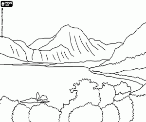 A lake with vegetation coloring page