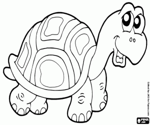 A land turtle coloring page