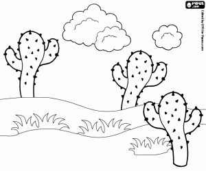 Landscape desert in the Wild West coloring page