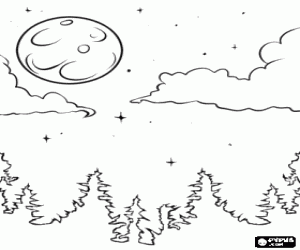 Landscape of fir trees at night coloring page