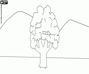 Landscape with a lone tree coloring page
