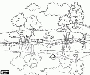 Landscape of a pond coloring page