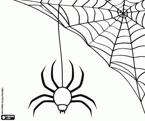 A large spider in the spiderweb coloring page