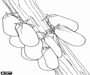 Larvae of moths on a branch coloring page