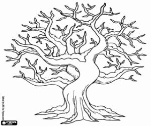 Leafless tree snowy in winter coloring page