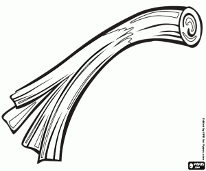 The leek, a vegetable coloring page