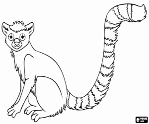 A lemur, Madagascar's island coloring page