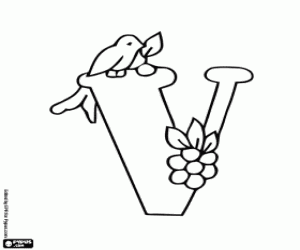 Letter V with the bird and fruits coloring page