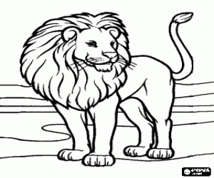Lion in a desert landscape coloring page