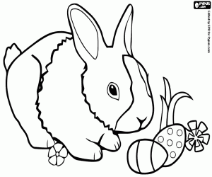 A little bunny and two Easter eggs coloring page