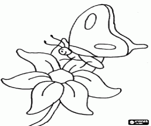 The little butterfly over the flower coloring page