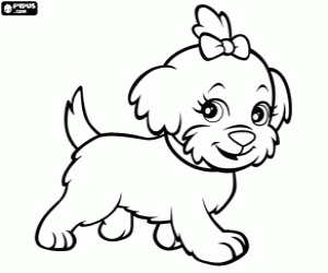 The little dog of Polly coloring page