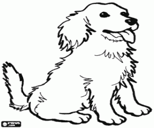 Little dog with tongue out coloring page