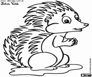 A little hedgehog coloring page