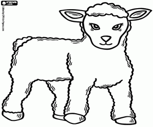 A little lamb for Easter coloring page