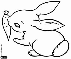 Little rabbit and a carrot coloring page