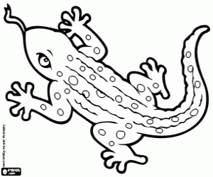 Lizard with long tongue coloring page