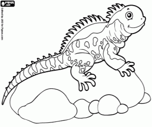 Lizard coloring page
