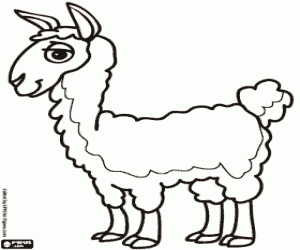 The llama, the animal of the incas coloring page