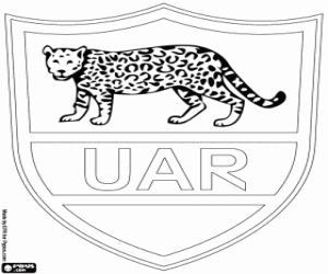 Logo of the argentinian rugby team coloring page