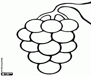 The lucky grapes coloring page