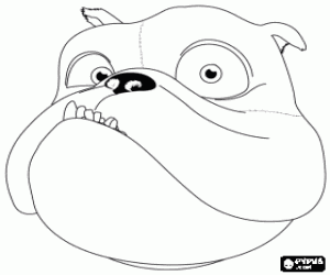 Luiz, a bulldog coloring page