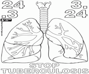 The lungs and the tuberculosis coloring page