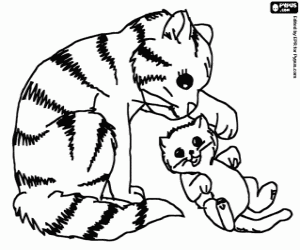Mama cat playing with her baby cat coloring page