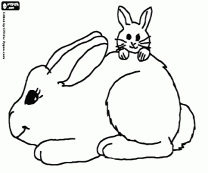 Mama rabbit with her little rabbit coloring page