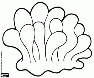 Marine coral coloring page