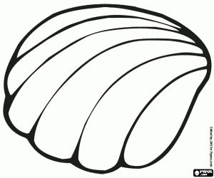 A marine shell coloring page