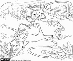 The marmosets from the film Rio coloring page