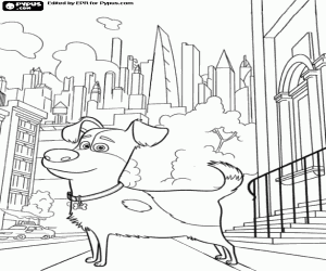 Max, the dog alone at the street coloring page