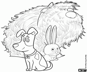 Max, Duke and Snowball coloring page