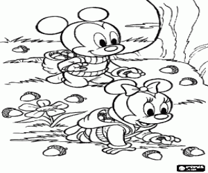 Mickey, Minnie and the acorns coloring page