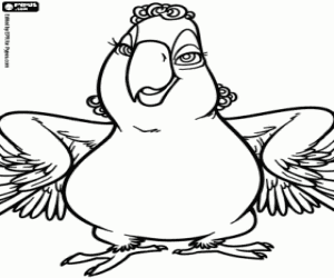 Mimi, a female macaw coloring page