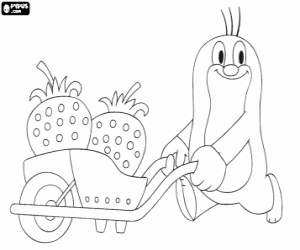 The mole Krtek and strawberries coloring page
