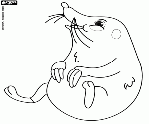 Moles live underground coloring page
