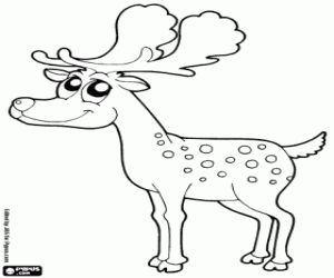 Moose coloring page