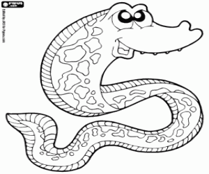 Moray eel coloring page