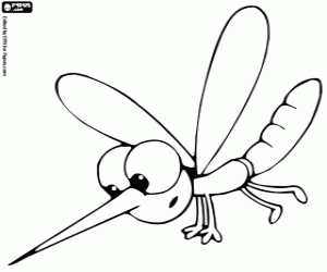 Mosquito coloring page