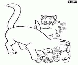 Mother cat playing with her kittens coloring page