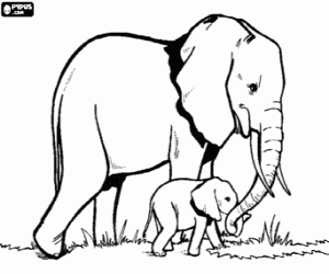 Mother elephant and baby elephant coloring page